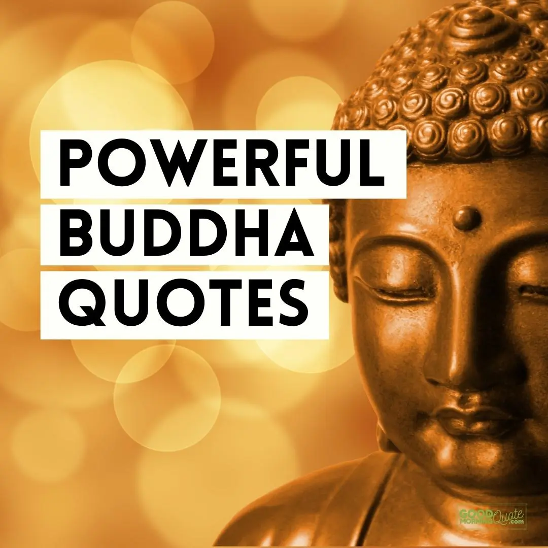 Top 10 powerful Buddha quotes on Education - Lumbini Interactive